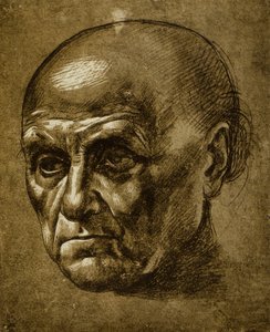 Studie van een mannelijk gezicht door Leonardo da Vinci